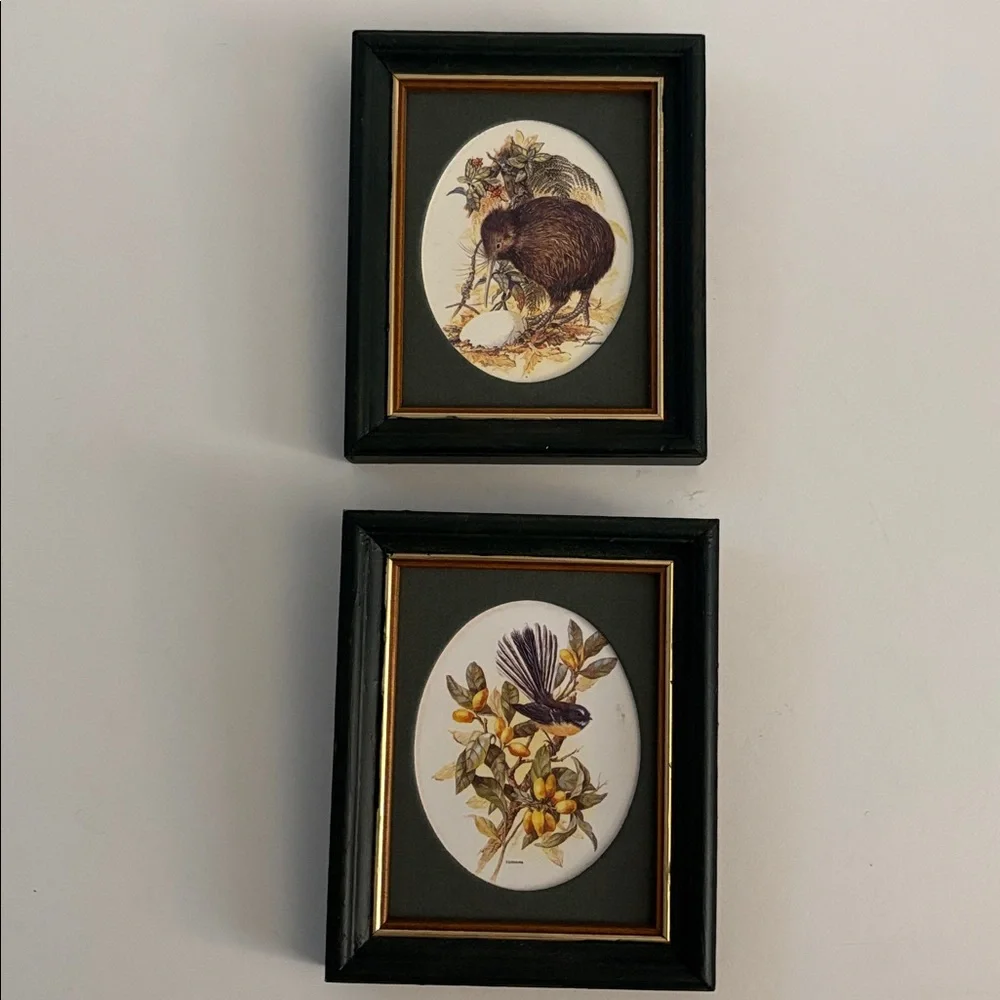 Set of Two Framed Native Birds of New Zealand - Picture 5 of 7